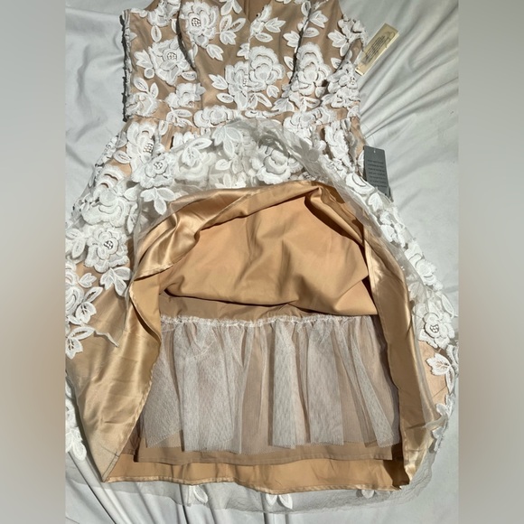 Eliza J Embroidered Mesh Fit & Flare Dress | 12 NWT - Picture 10 of 13